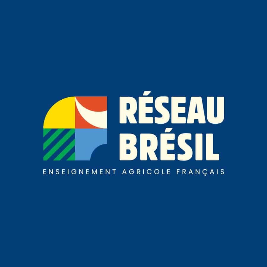 reseau_bresil_logo_bleu